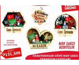 ÖĞRETMENLER GÜNÜ MDF SAKSI TERARYUM 